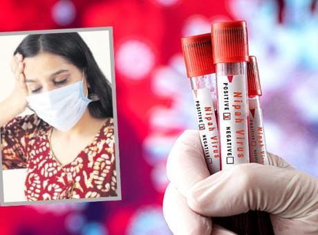 Hindistan'da Nipah Virüsü Alarmı: Sağlık Tarama Uygulamaları Başladı