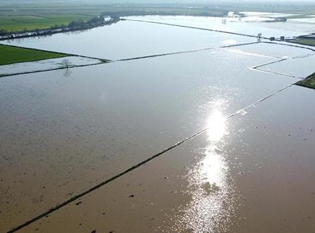 Menderes Nehri Taşarak 2 Bin Dönümlük Tarım Arazisini Sular Altında Bıraktı