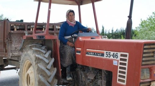 Aile Hayatı Ana Haber Ev ve Yaşam Psikoloji